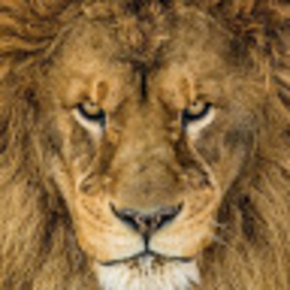 Meet your Posher, Sean - Picture 1 of 1